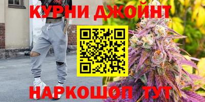 PSILOCYBIN Будённовск