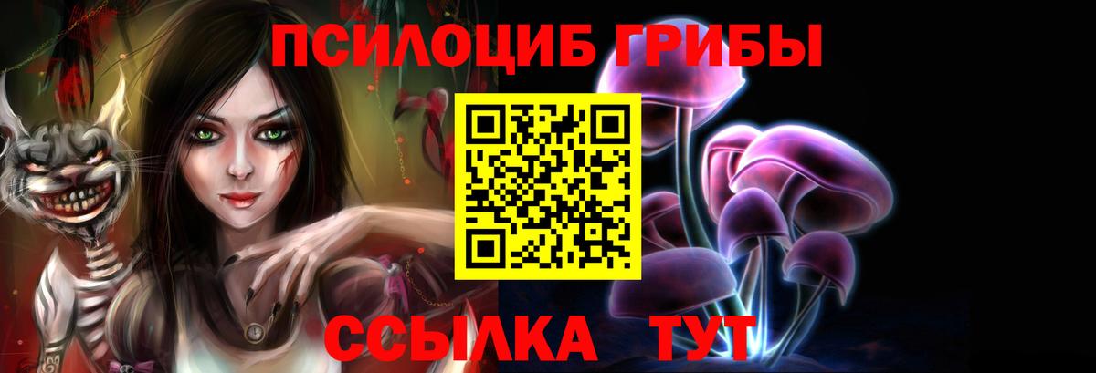 Галлюциногенные грибы Cubensis Сибай